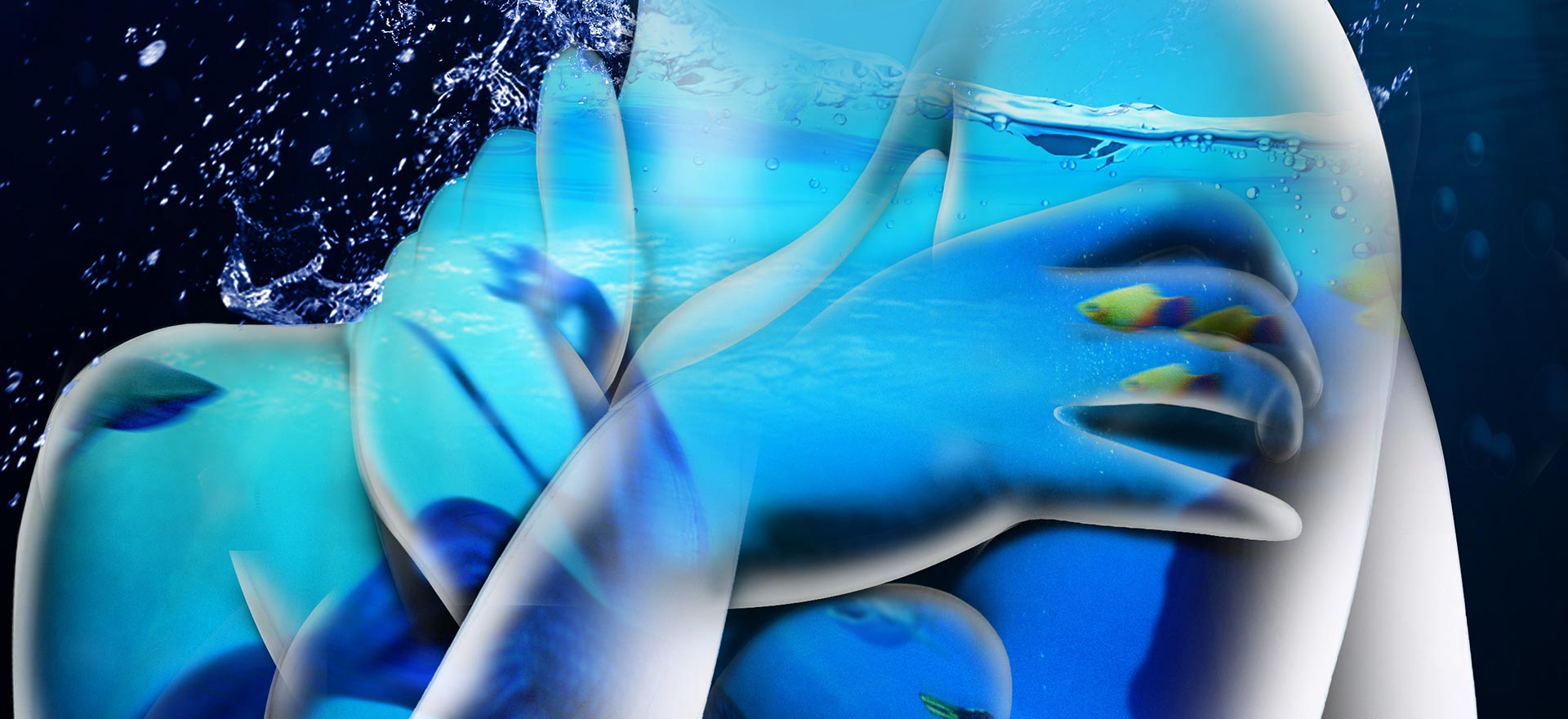 Aquarium