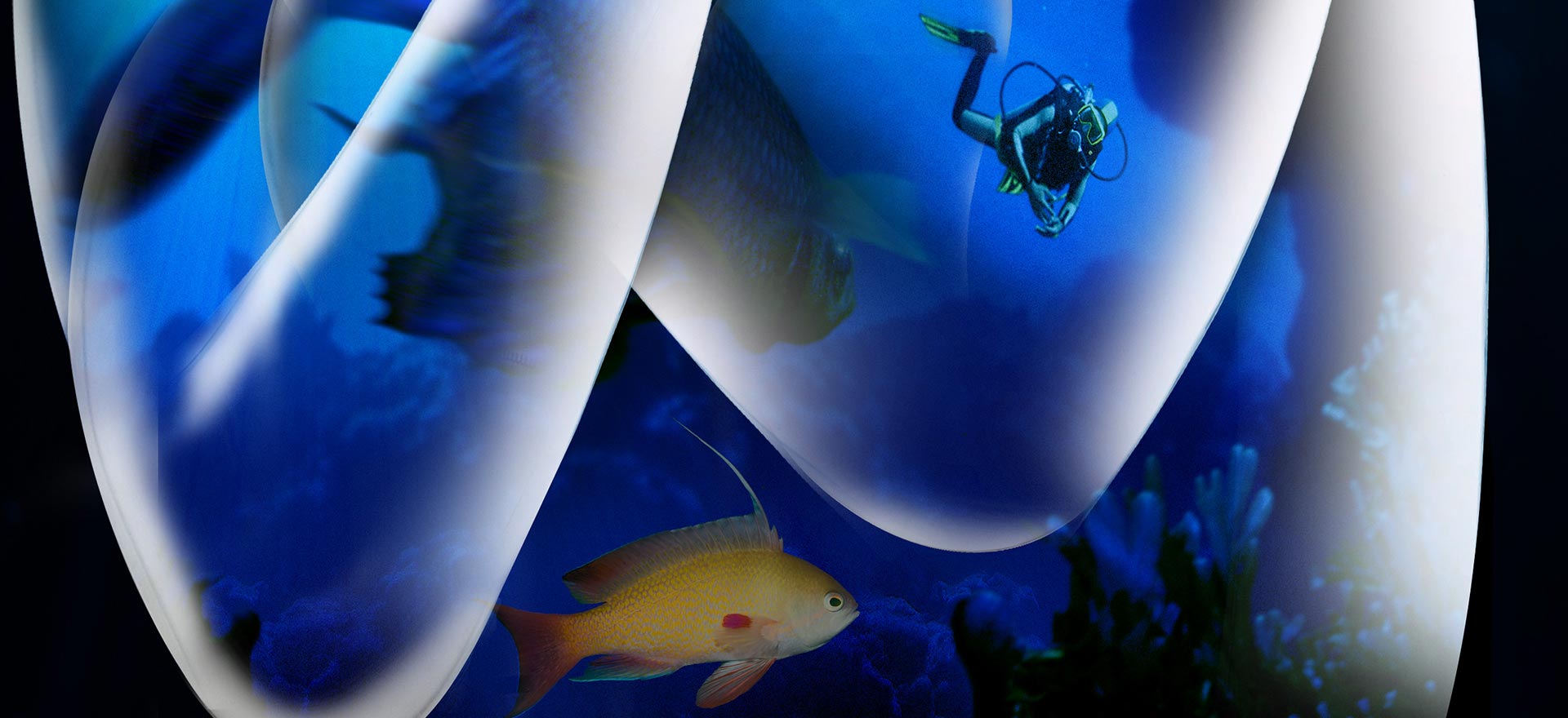 Aquarium